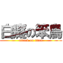 白癡の笨鳥 (attack on titan)