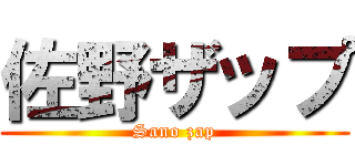 佐野ザップ (Sano zap)