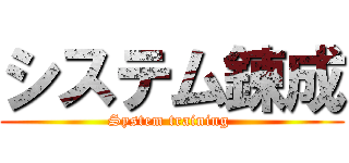 システム錬成 (System training )