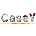 ＣａｓｅＹ (-101)