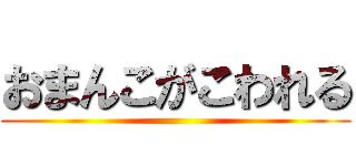 おまんこがこわれる ()