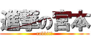 進撃の宮本 (rabbit🐰)