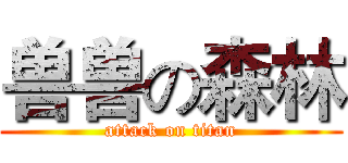 兽兽の森林 (attack on titan)