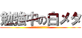 勉強中の白メタ (私はこう見えて忙しいのです)