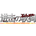 进击の秋狗 (attack on wangwangwang)