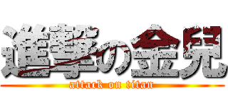 進撃の金兒 (attack on titan)