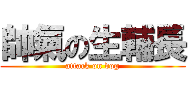 帥氣の生輔長 (attack on dog)