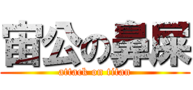 宙公の鼻屎 (attack on titan)