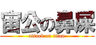 宙公の鼻屎 (attack on titan)