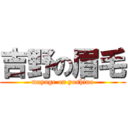 吉野の眉毛 (mayuge on yoshino)