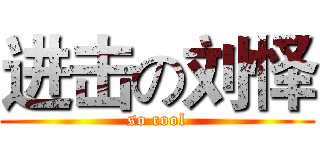 进击の刘怿 (so cool)