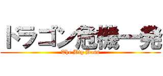 ドラゴン危機一発 (The Big Boss)