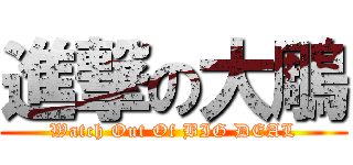 進撃の大鵰 (Watch Out Of BIG DEAL)
