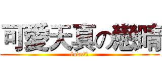 可愛天真の戀晴 (love小酷)