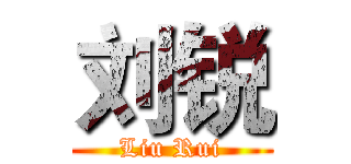 刘锐 (Liu Rui)