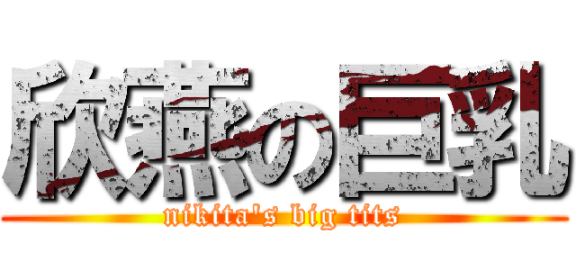 欣燕の巨乳 (nikita\'s big tits)