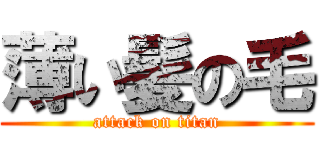 薄い髪の毛 (attack on titan)