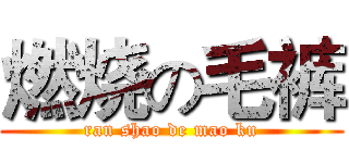 燃烧の毛裤 (ran shao de mao ku)