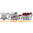 草你媽の機掰 (attack on titan)