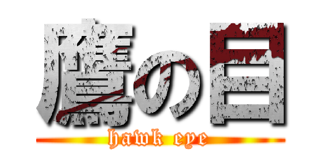 鷹の目 (hawk eye)