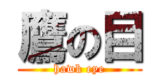 鷹の目 (hawk eye)