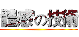 體感'の技術 ()