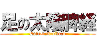 足の太陰脾経 (Spleen Meridian)