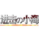 进击の小海 (attack on titan)
