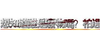 想知道誰是廢物嗎？柏逸！ (idiot)