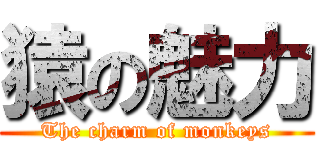 猿の魅力 (The charm of monkeys)