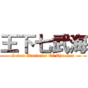 王下七武海 (Seven Warlords Of The Sea)