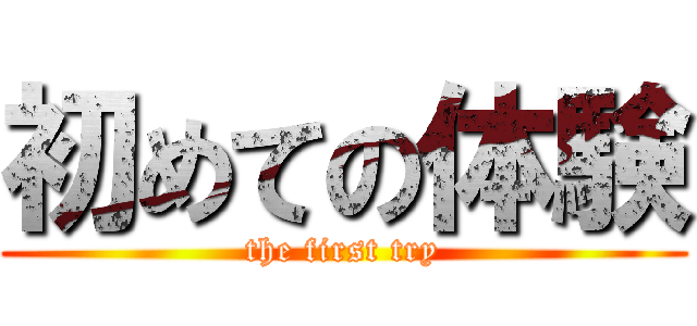 初めての体験 (the first try)