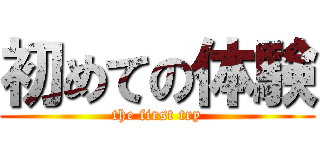 初めての体験 (the first try)