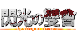 閃光の雙會 (sparking on cleanero)
