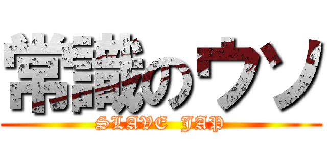 常識のウソ (SLAVE  JAP)