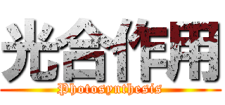 光合作用 (Photosynthesis)
