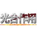 光合作用 (Photosynthesis)