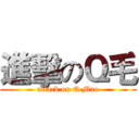進擊のＱ毛 (attack on Q Mao)