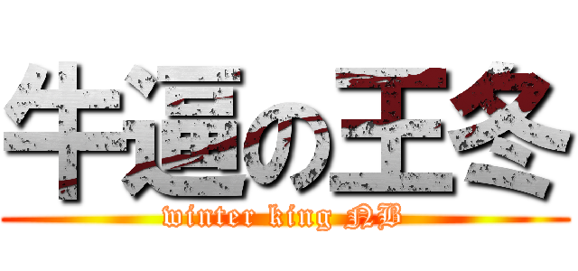 牛逼の王冬 (winter king NB)