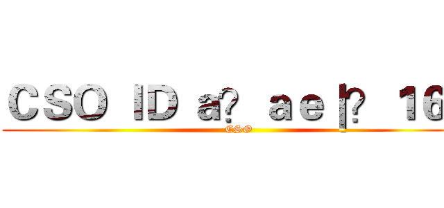 ＣＳＯ ＩＤ ａ？ａｅ｜？１６Ｔ (CSO)