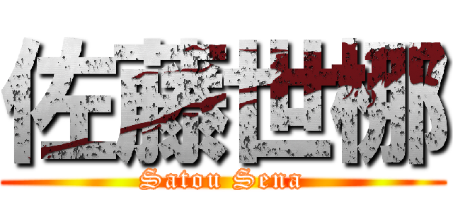 佐藤世梛 (Satou Sena)