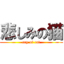 悲しみの猫 (cry of cat)