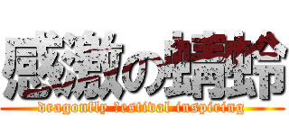 感激の蜻蛉 (dragonfly ｆestival inspiring)