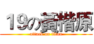 １９の黃楷原 (attack on titan)