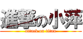 進撃の小萍 (attack on titan)