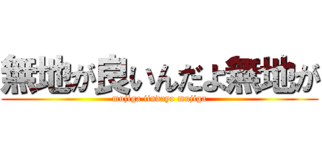 無地が良いんだよ無地が (mujiga iindayo mujiga)