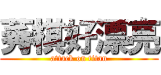 莠棋好漂亮 (attack on titan)