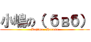 小嶋の（ бвб） (Kojima   Haruna)