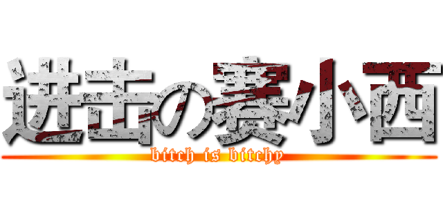 进击の赛小西 (bitch is bitchy)