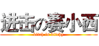 进击の赛小西 (bitch is bitchy)